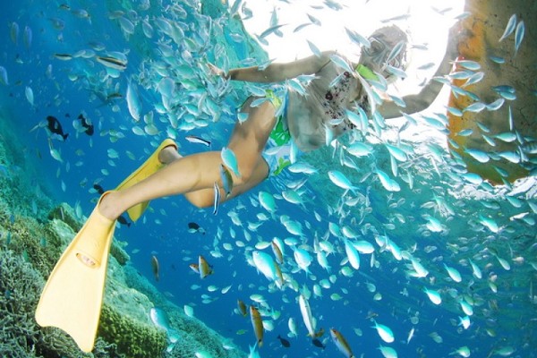 浅谈游艇出海游玩的水肺潜水和浮潜 浅谈游艇出海游玩的水肺潜水和浮潜