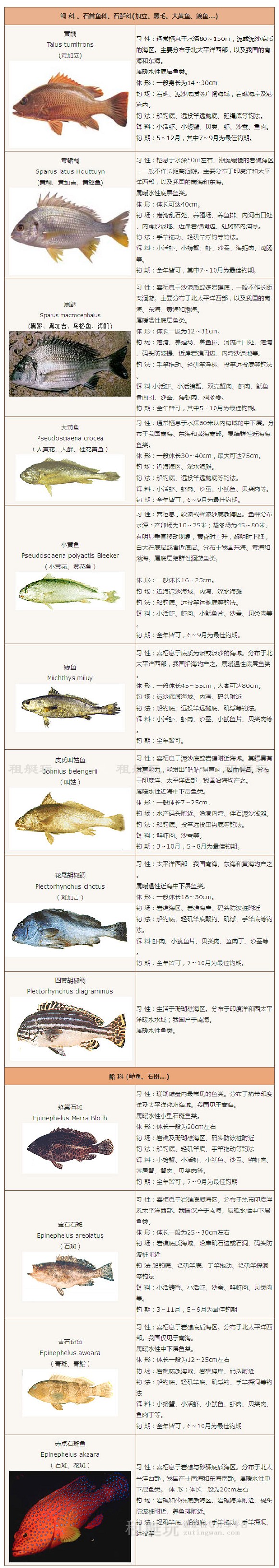 形象圖火狐截圖_2015-11-24T04-12-33.jpg 形象圖火狐截圖_2015-11-24T04-12-33.jpg