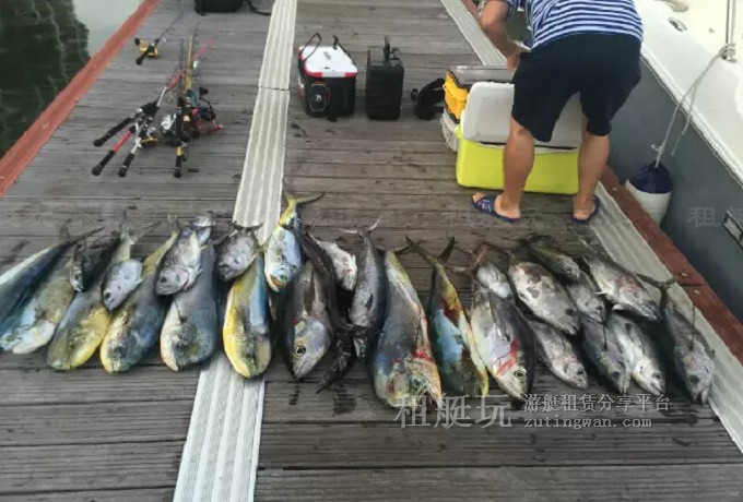 三亞海釣目的地推薦,租艘釣魚艇去海釣吧! 三亞海釣目的地推薦,租艘釣魚艇去海釣吧!