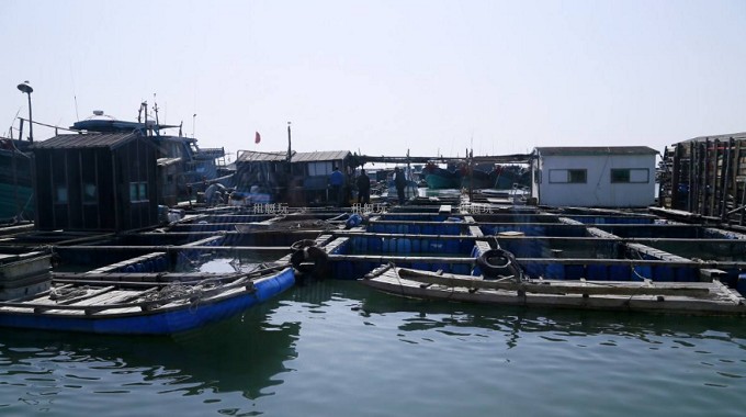 PhotoCap_003.jpg